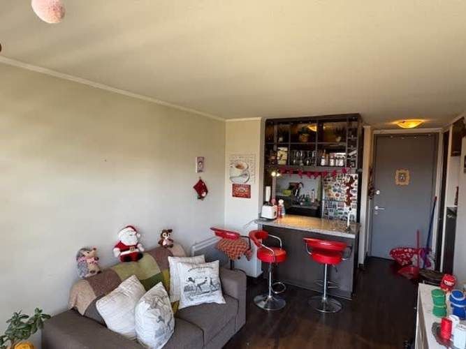 DEPARTAMENTO Diagonal VIcuña Mackenna