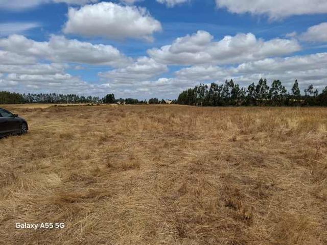 Vende Terreno indígena 20.000 m² Camino Comunidad 5 Manzanos