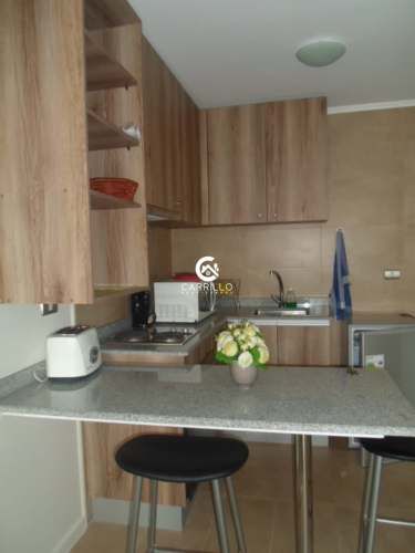 ARRENDAMOS DEPTO AMOBLADO EDIFICIO LUCERNA