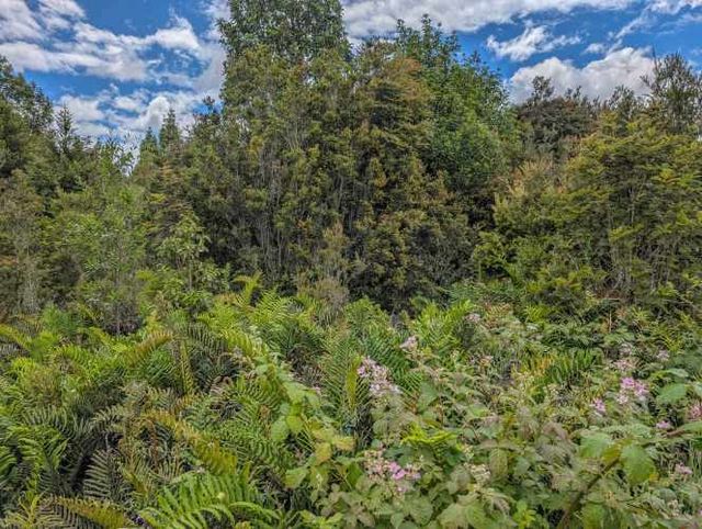 Parcela de 5.000 m² en Colonia 3 Puentes, Puerto Varas – Rol propio y crédito directo