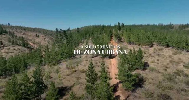 PARCELA SAN PEDRO DE ALCANTARA