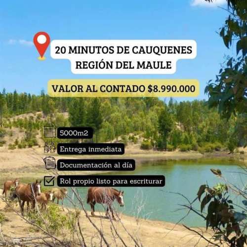 PARCELA Cauquenes