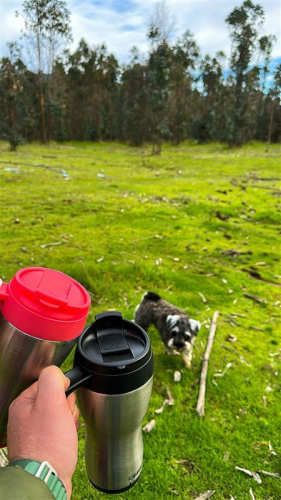 PARCELA j80 Camino a Llico