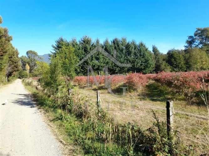 AGRICOLA camino los lagos