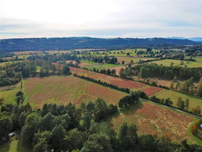 AGRICOLA camino los lagos