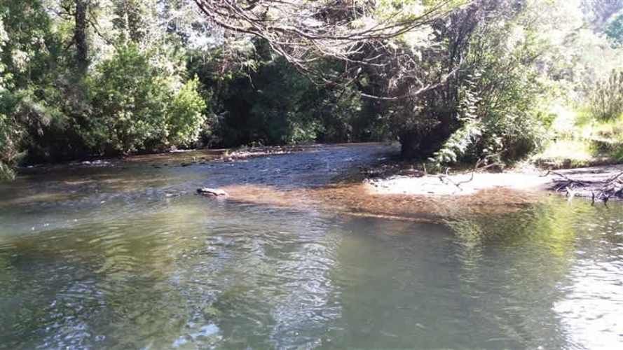 AGRICOLA camino los lagos
