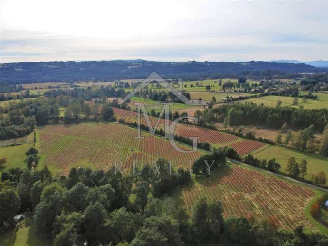 AGRICOLA camino los lagos