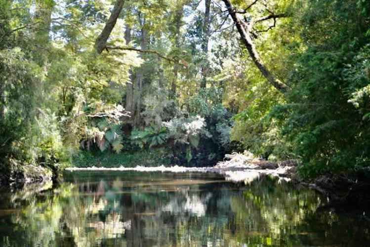 AGRICOLA camino los lagos