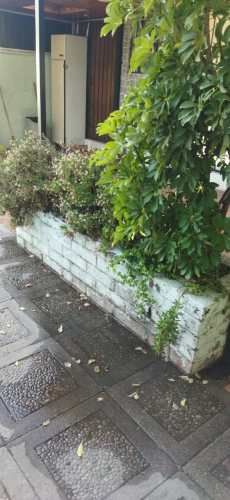 Arriendo cómoda casa Trinidad Oriente - La Florida