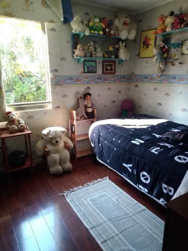 Las Perdices - Quebrada Macul (138095)