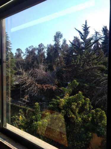 Las Perdices - Quebrada Macul (138095)