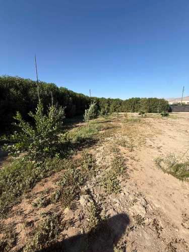 HERMOSA PARCELA  EN ARRIENDO EN VALLE DORADO