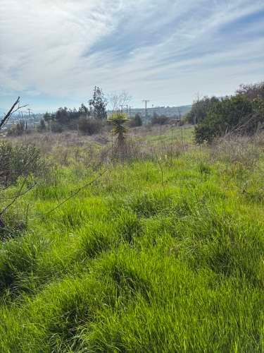 EN ARRIENDO GRAN CASA EN PARCELA