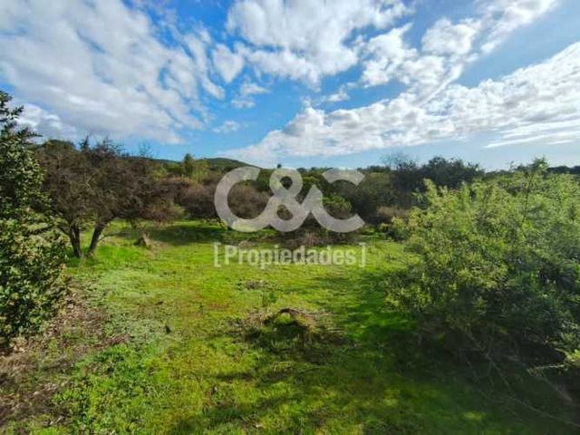 1/2 Há En Valle Alegre Con Maravillosa Vegetación