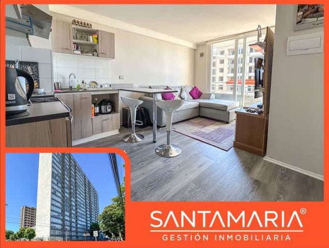 DEPARTAMENTO Manuel Rodiguez, Concepción