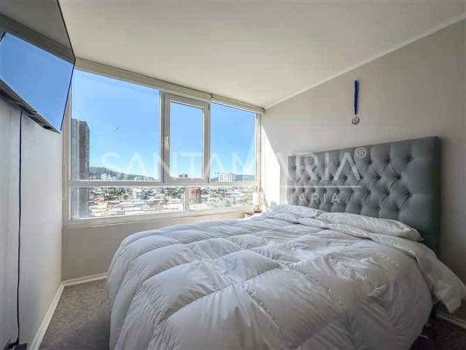 DEPARTAMENTO Manuel Rodiguez, Concepción