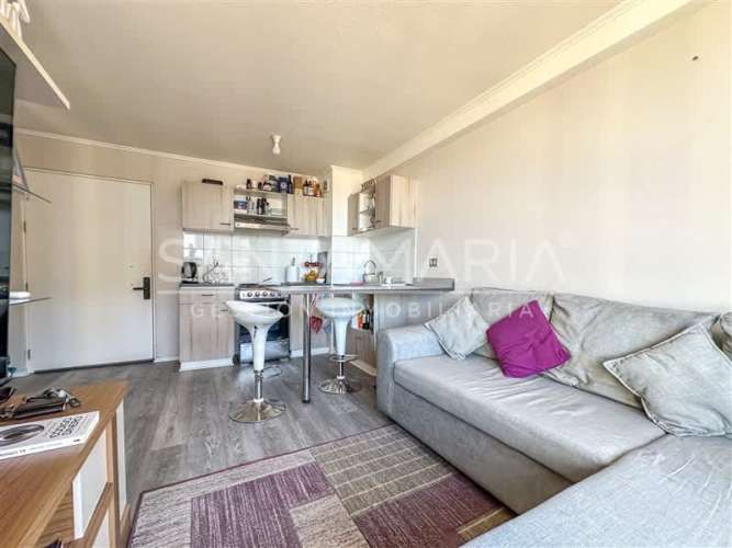 DEPARTAMENTO Manuel Rodiguez, Concepción