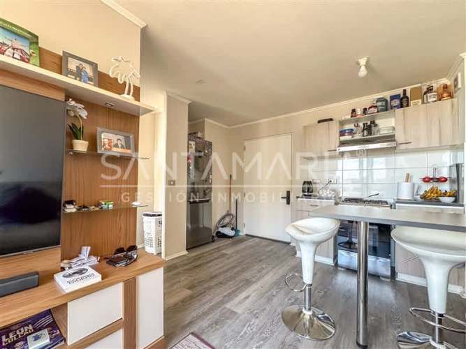 DEPARTAMENTO Manuel Rodiguez, Concepción