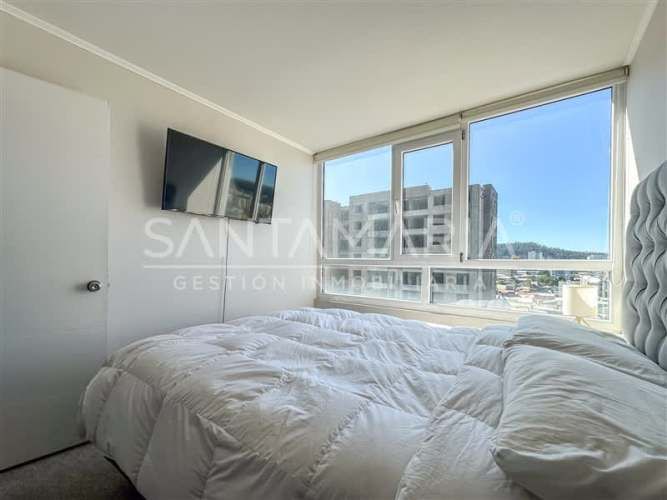 DEPARTAMENTO Manuel Rodiguez, Concepción