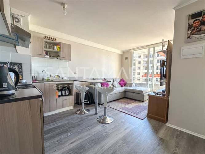 DEPARTAMENTO Manuel Rodiguez, Concepción