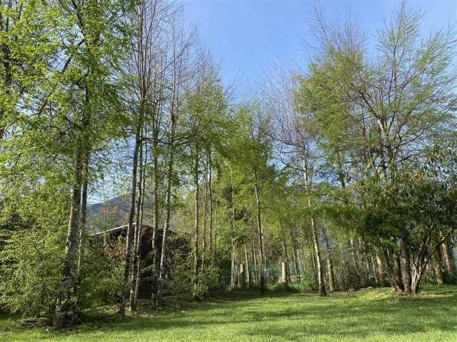 CASA Brisas de Quelhue