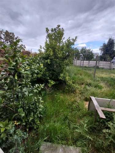 LOCAL COMERCIAL Avenida Cancha Rayada