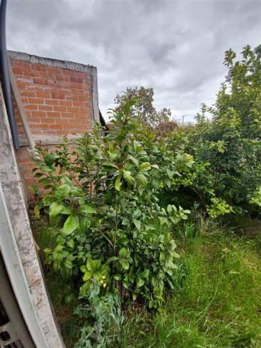 LOCAL COMERCIAL Avenida Cancha Rayada