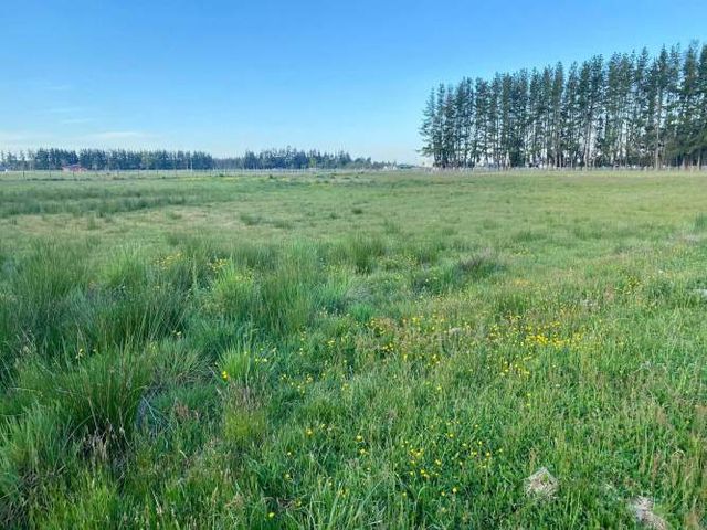 Linda parcela a la venta en Frutillar (16167)