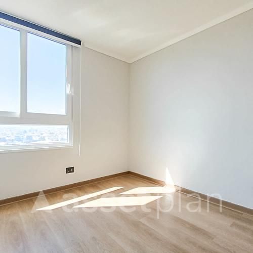 David Arellano 1954 [3490-4]