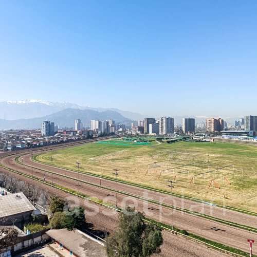 David Arellano 1954 [3490-4]