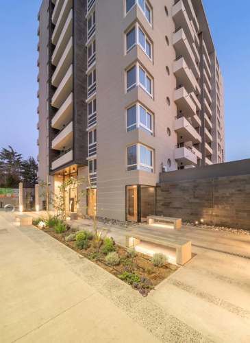 David Arellano 1954 [3490-6]