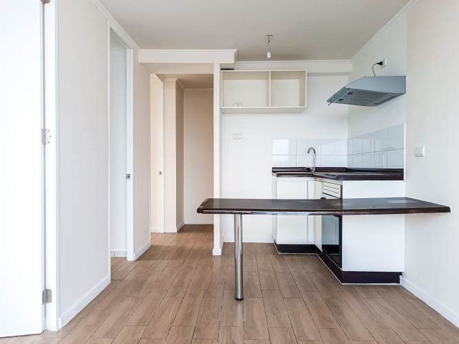 Nuevo Oriente I [2935-3]