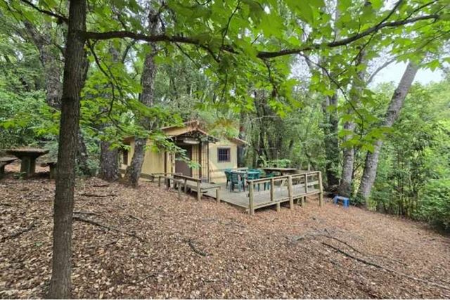 Acogedora cabaña y amplia parcela en vilches