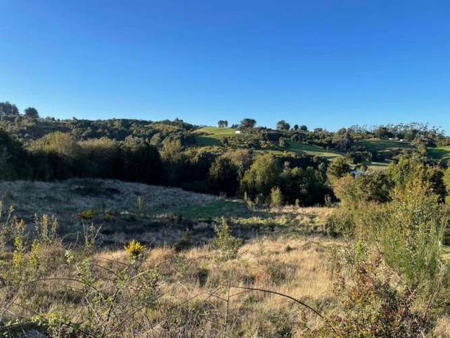 Se vende hermosa parcela en Chiloé