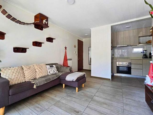 2 D / 2 B + 1 E y 1 B, como nuevo (138476)