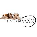 eduancann.cl Cachorros bulldog francés e inglés