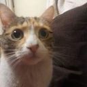 Cristian Aliaga Muñoz