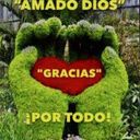 David merino merinon