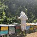 APICOLA NICOS LIMITADA